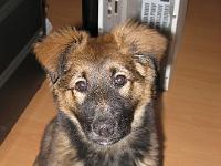 2009_02_21 bella_009